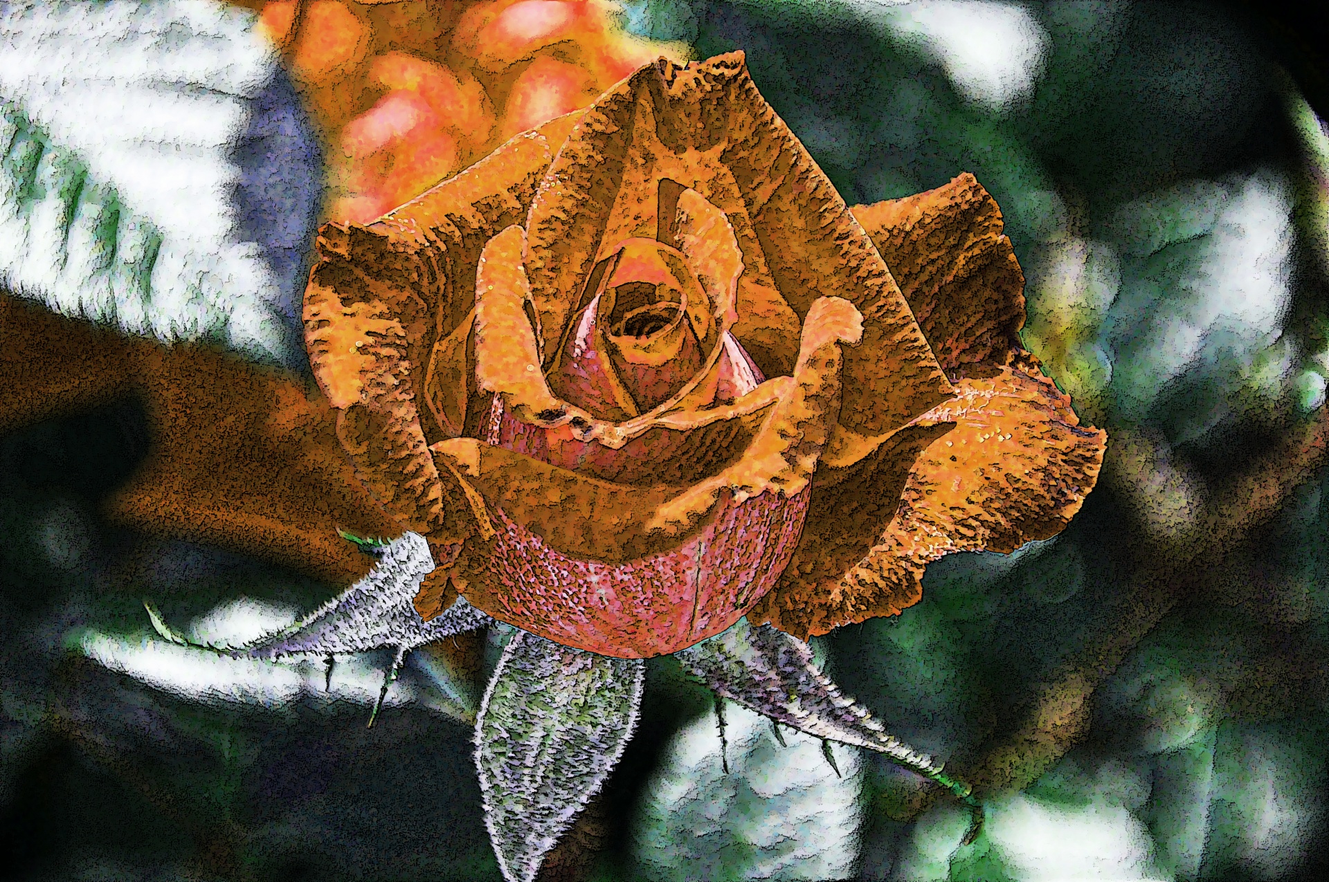 rose roses gold free photo