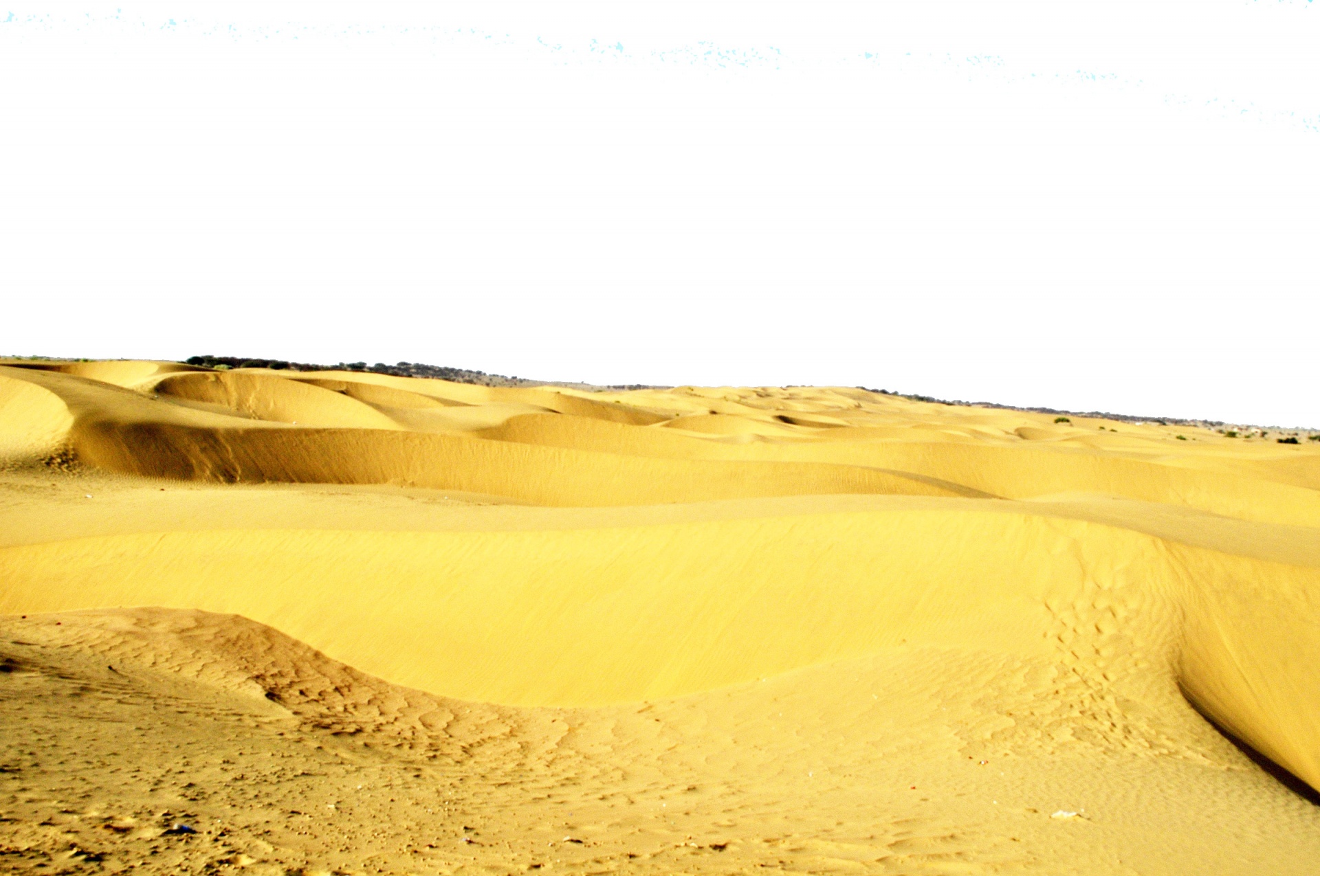 desert dry golden free photo