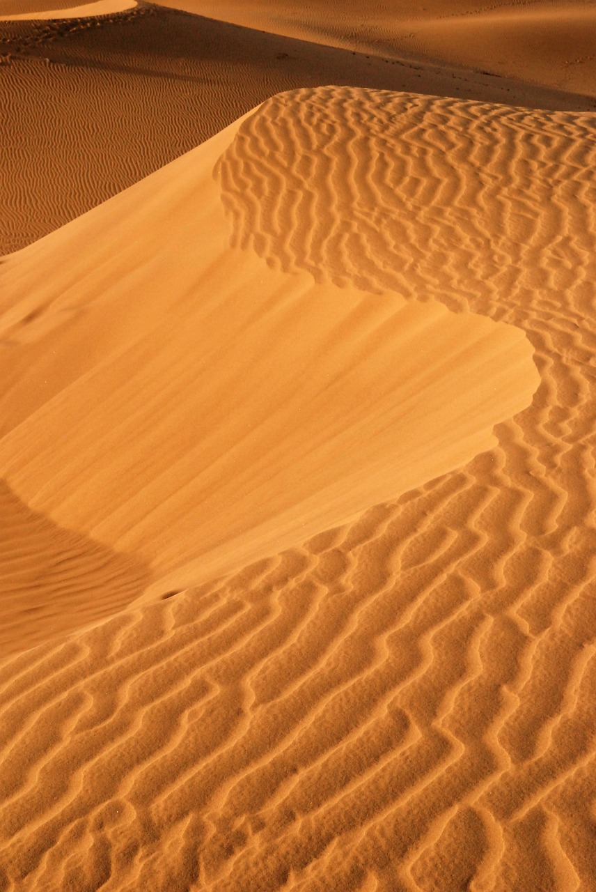 golden sand sand dunes desert free photo