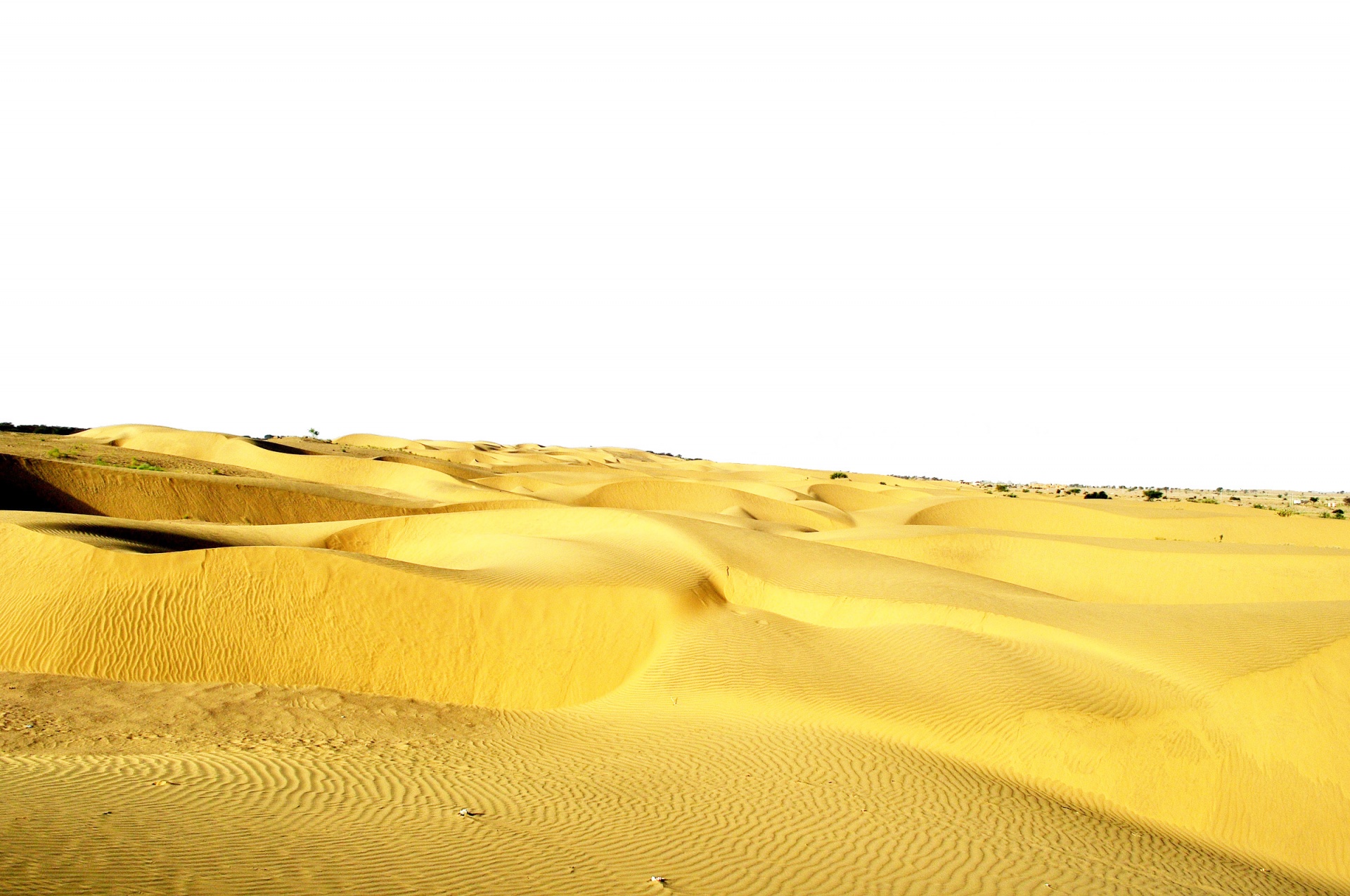 desert dry golden free photo