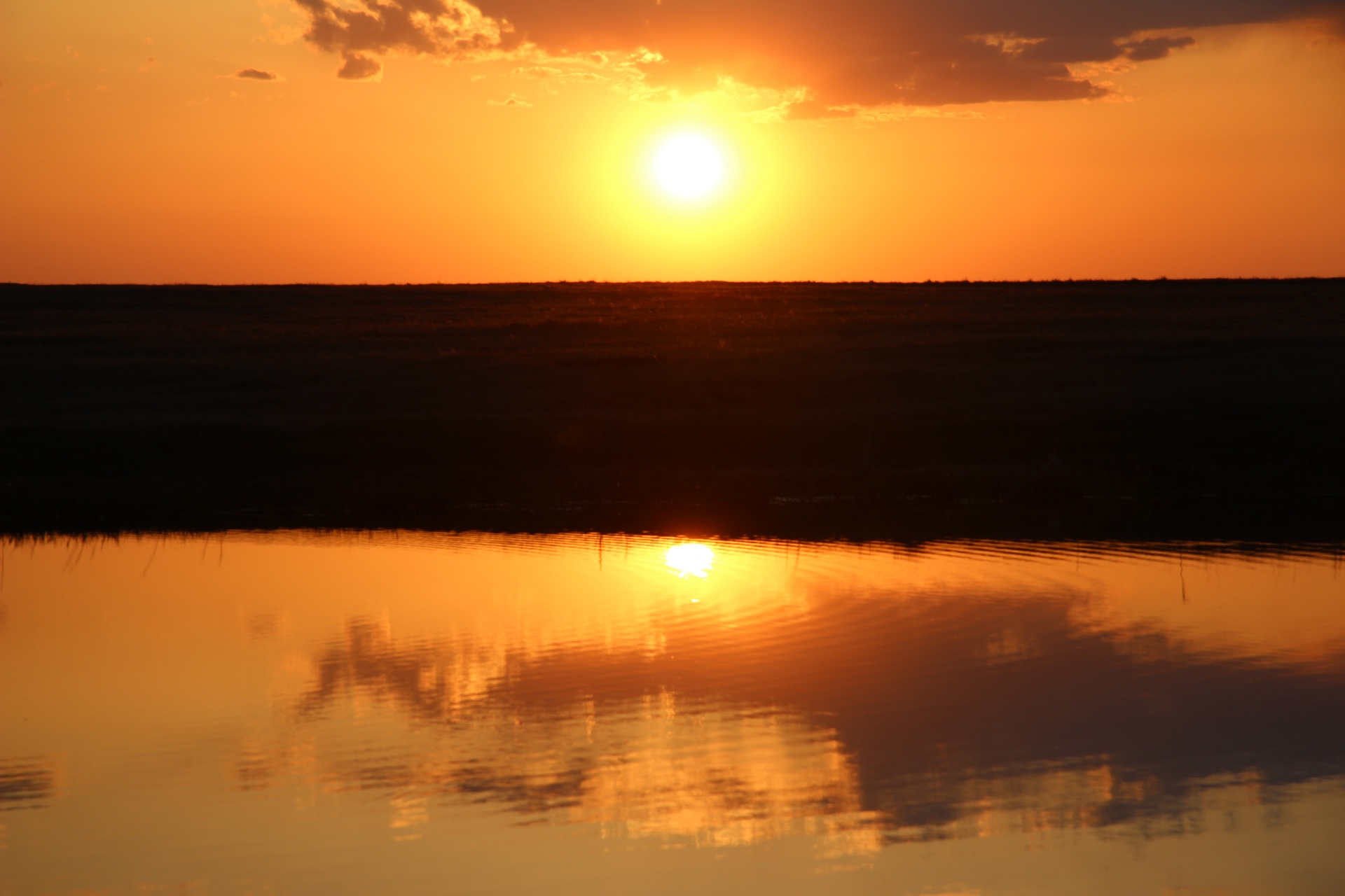 golden sunset water free photo