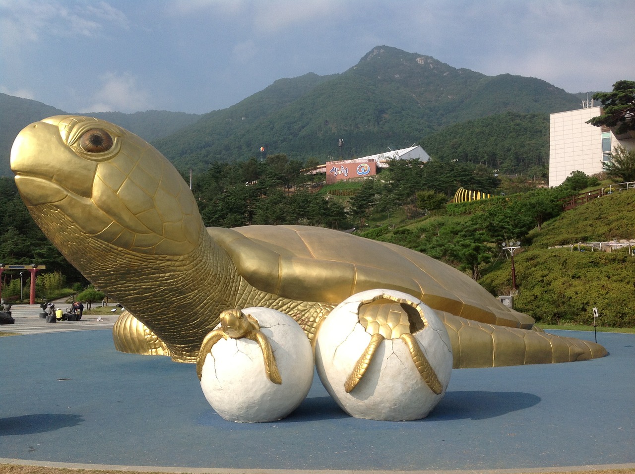 golden turtle sancheong republic of korea free photo