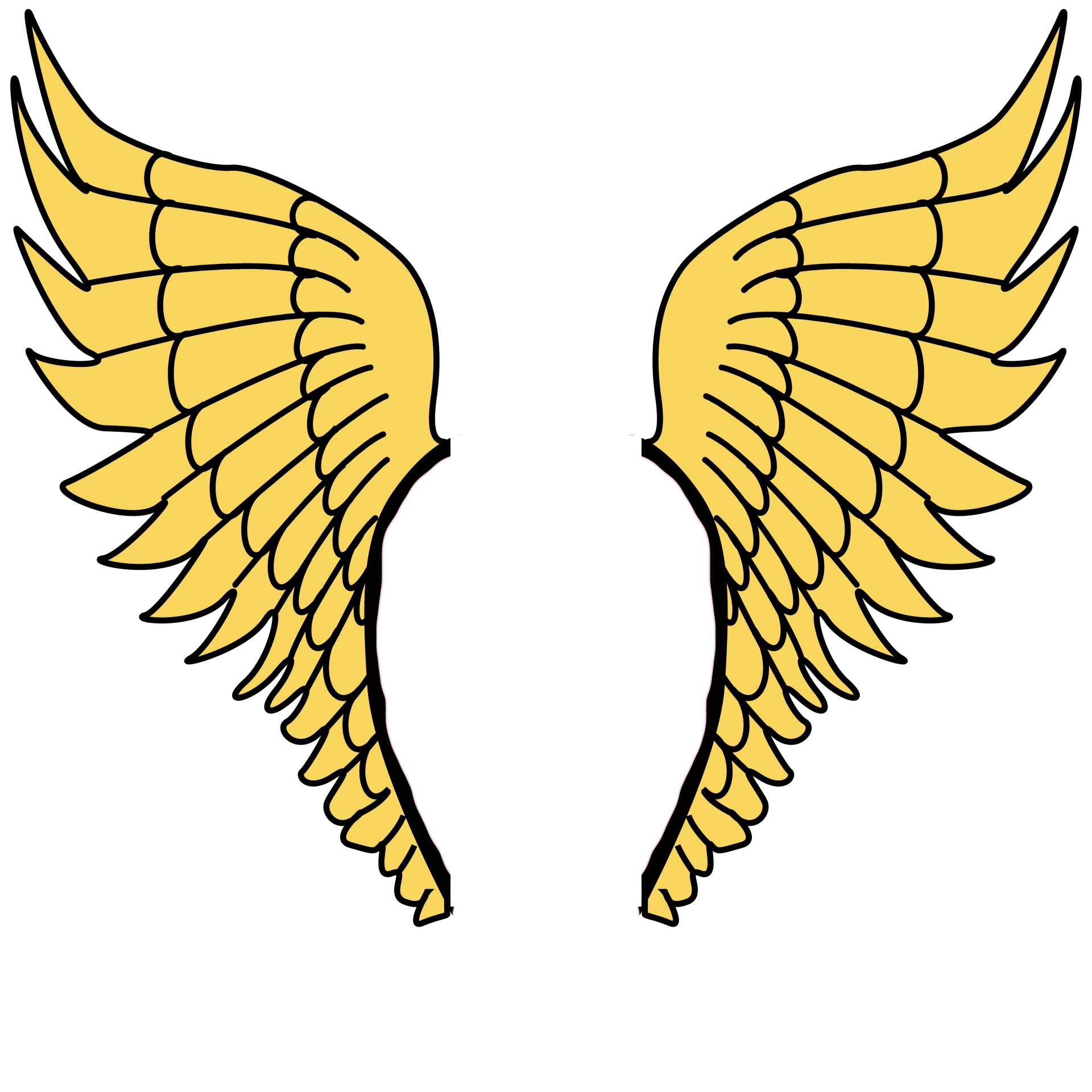 wing gold angel free photo