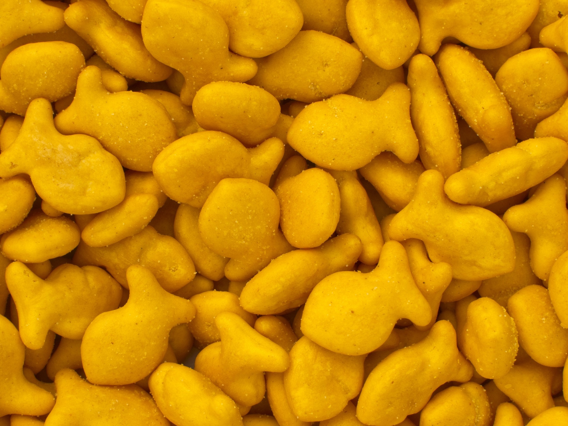 goldfish crackers snack free photo