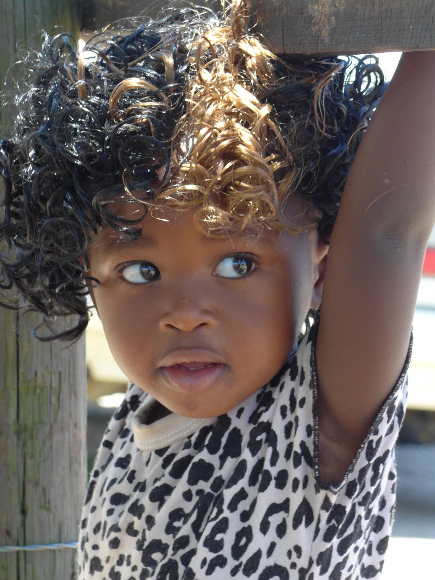 goldilocks xhosa girl hair do free photo