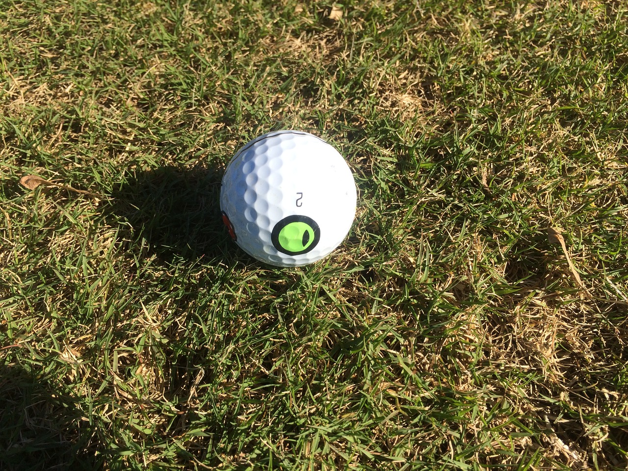 golf ball sport free photo