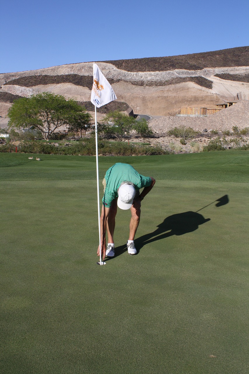 golf green hole in one free photo