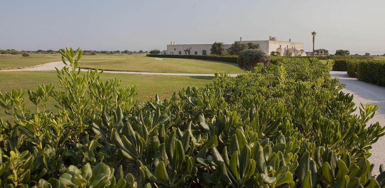 golf plants prato free photo