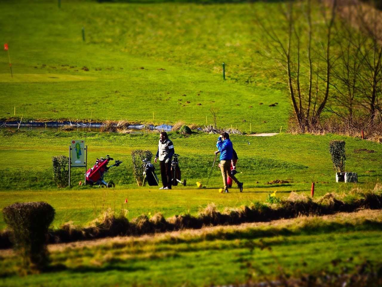 golf golfers green free photo