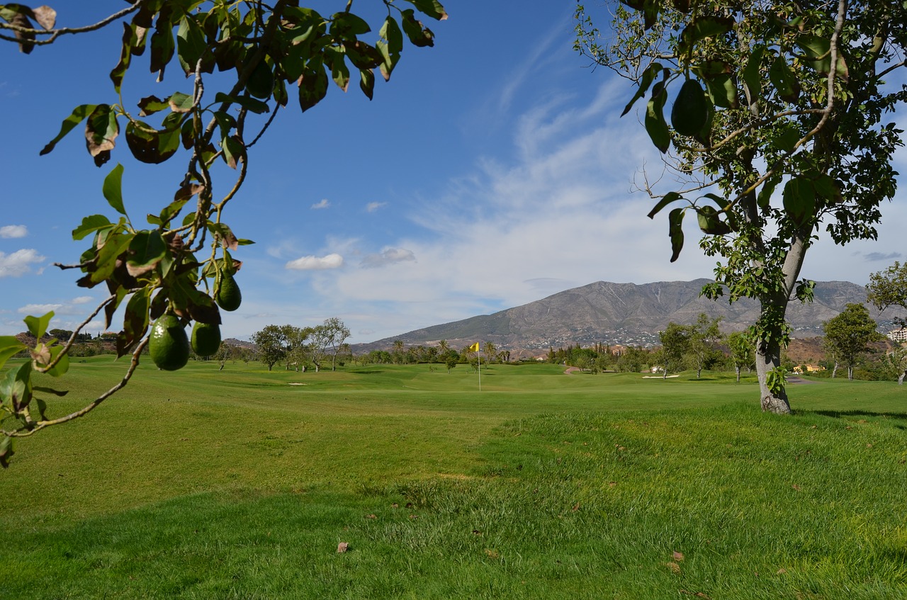 golf avocado spain free photo