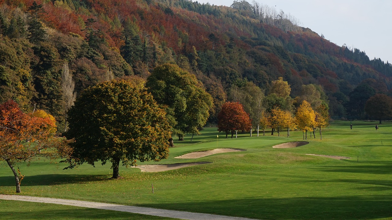 golf autumn trees free photo