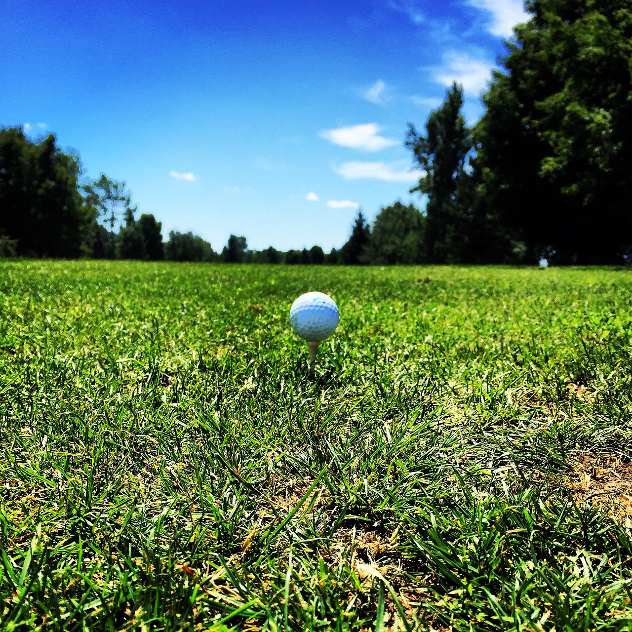 golf tee ball free photo