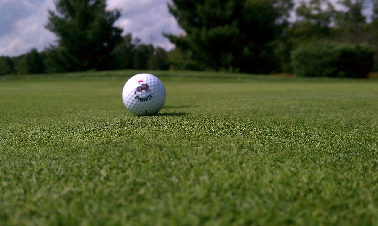 golf green golf ball free photo