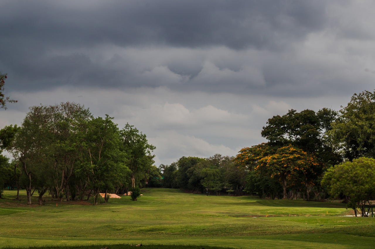 golf course golfing free photo