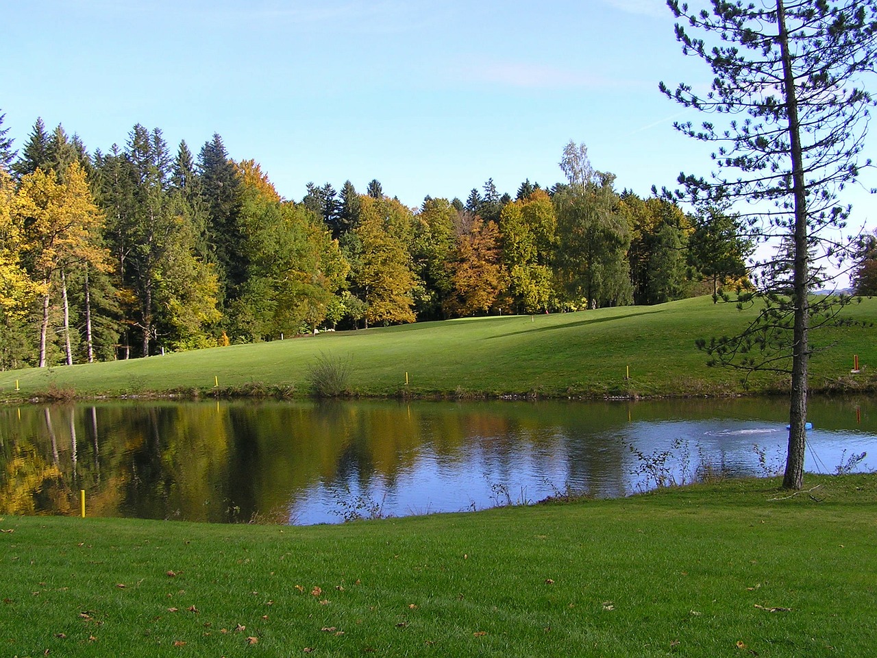 golf golf course meadow free photo