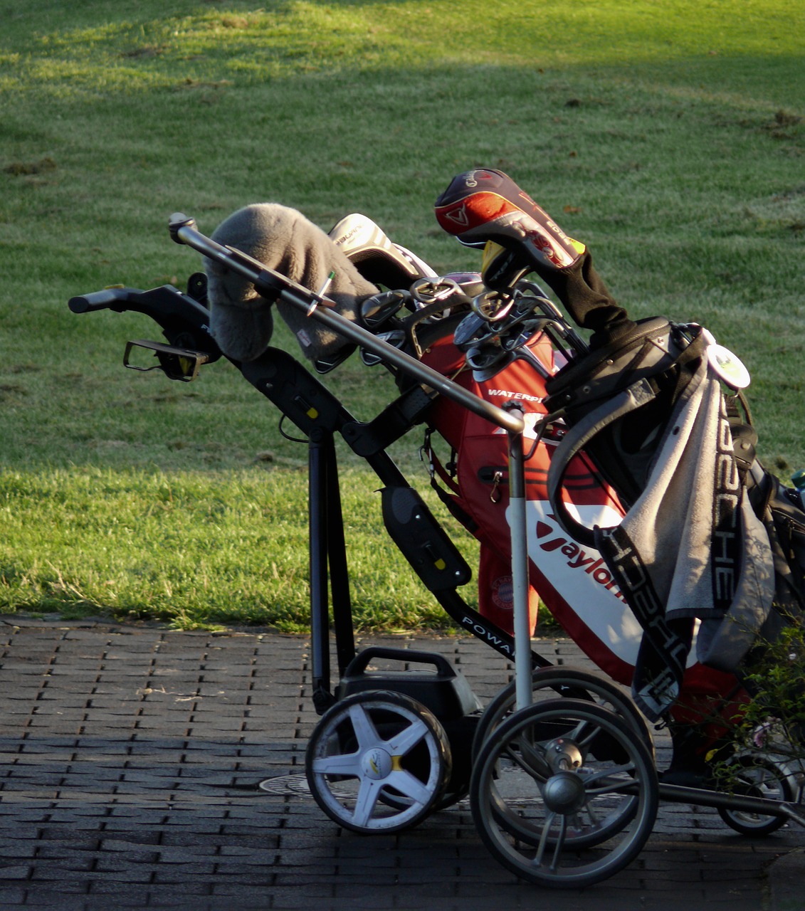 golf caddy tee free photo