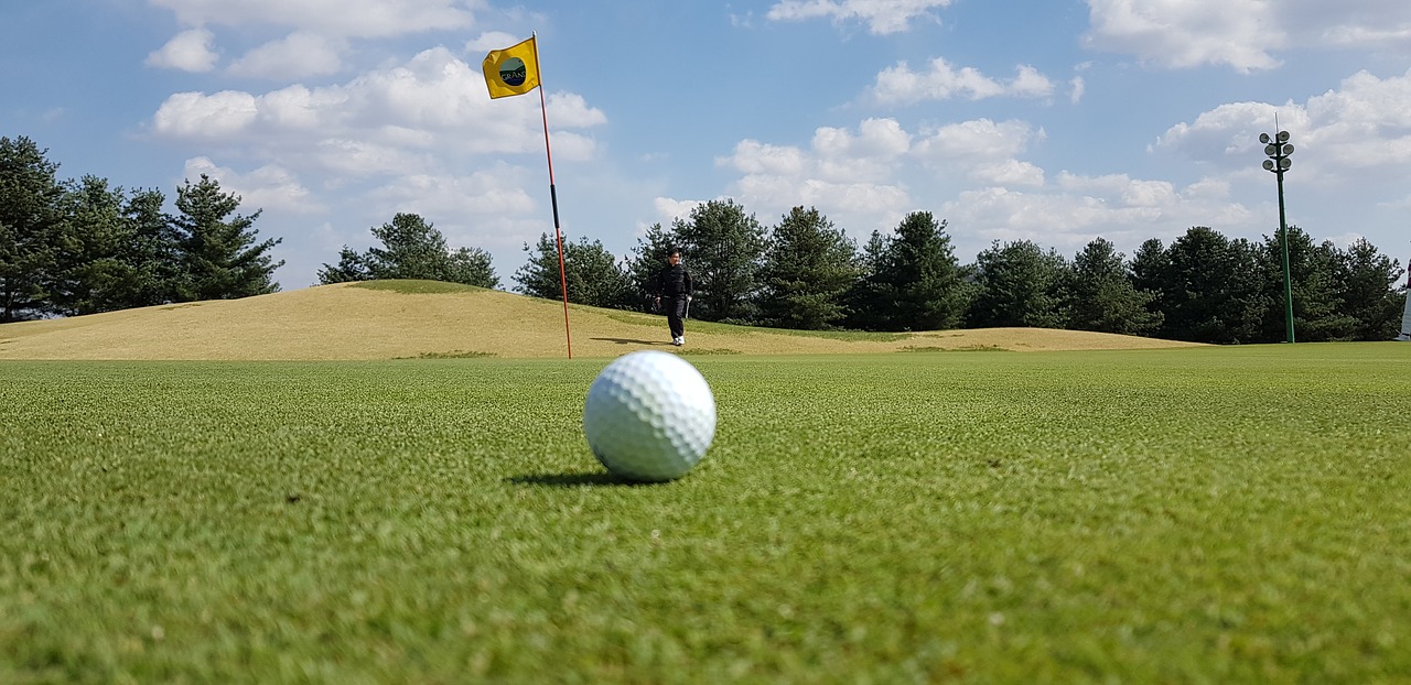 golf  golfers  tee free photo
