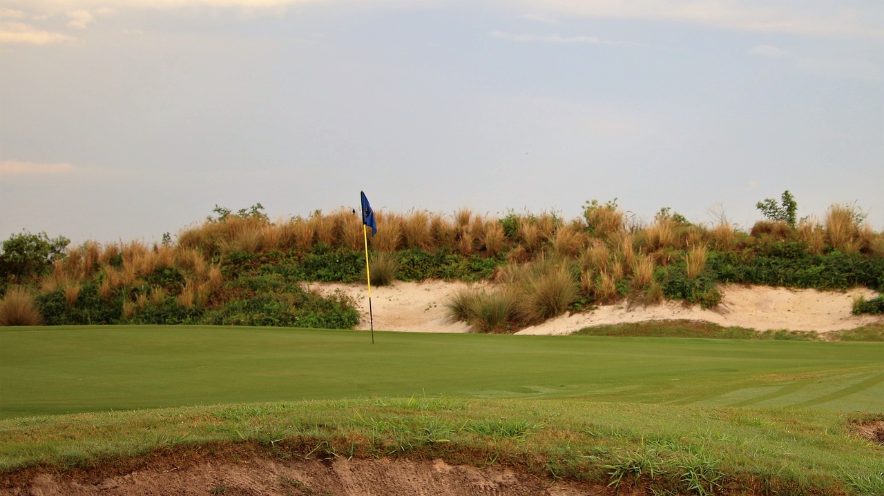 golf  grass  panoramic free photo