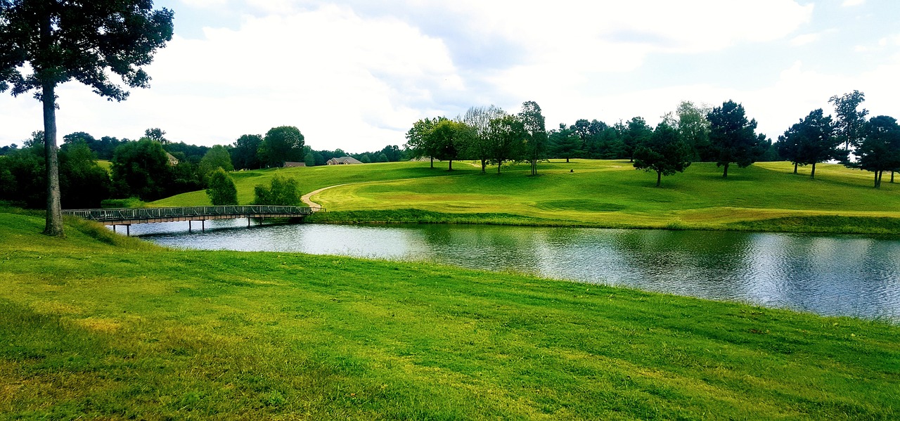 golf  grass  nature free photo