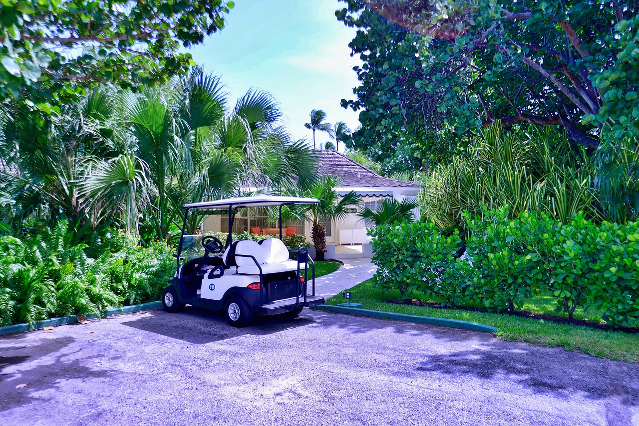 golf  golf kart  tree free photo