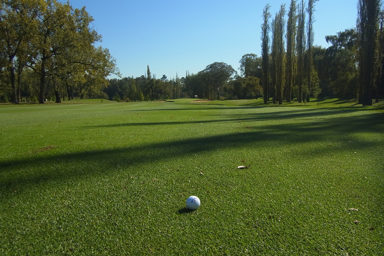 golf  golf course  golfball free photo