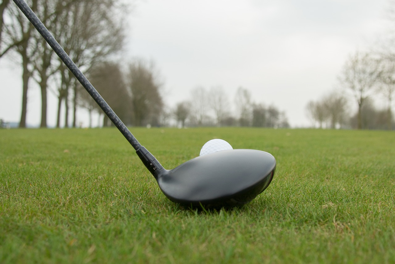 golf  driver  sport free photo