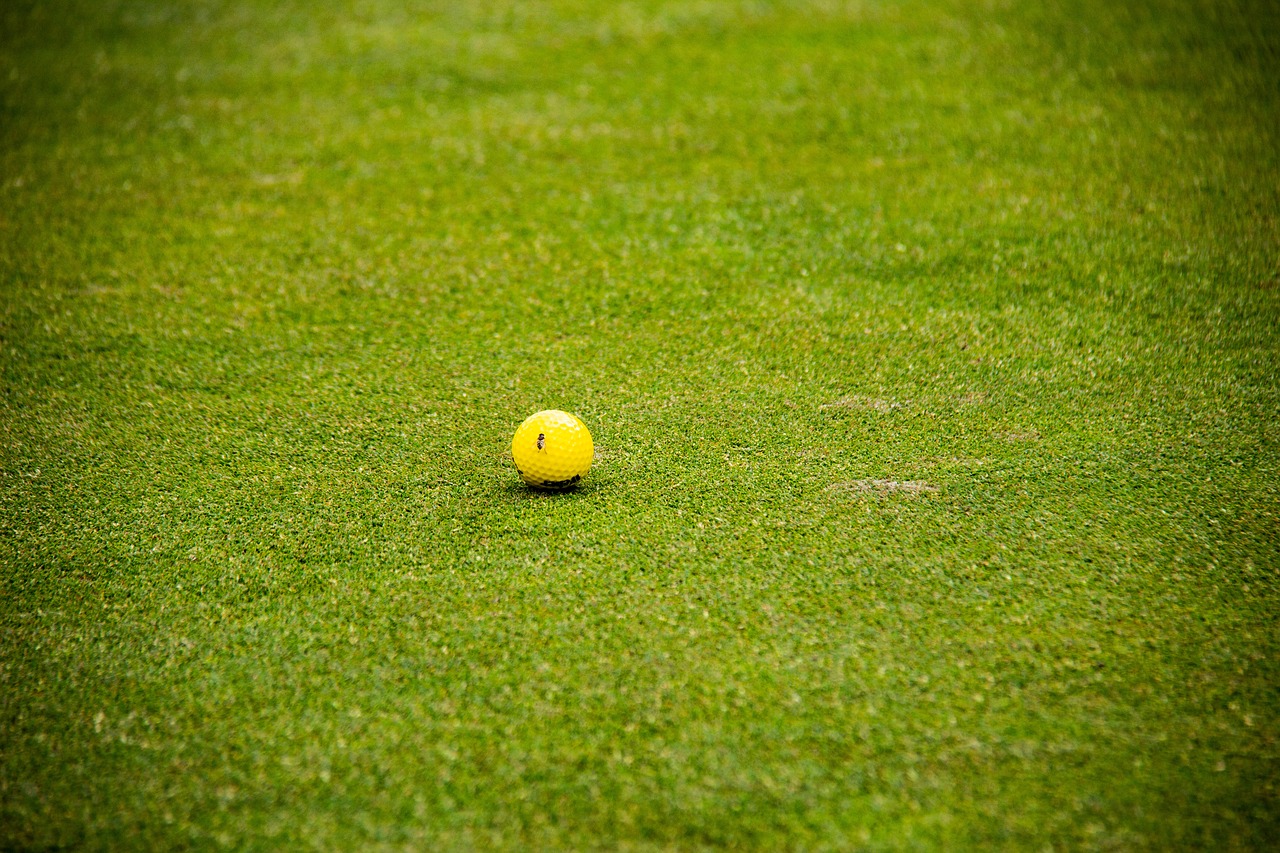 golf  golf ball  bee free photo