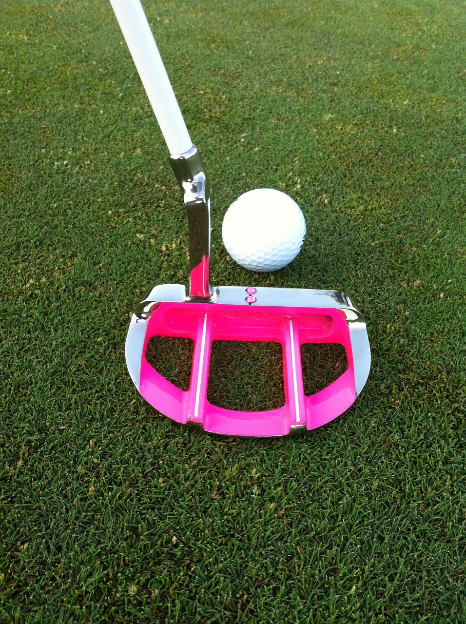 golf putter golf club free photo