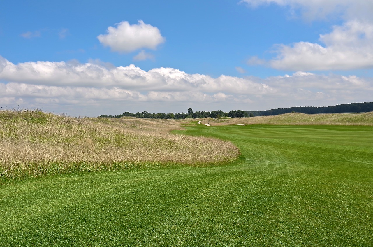 golf  golf course  sport free photo