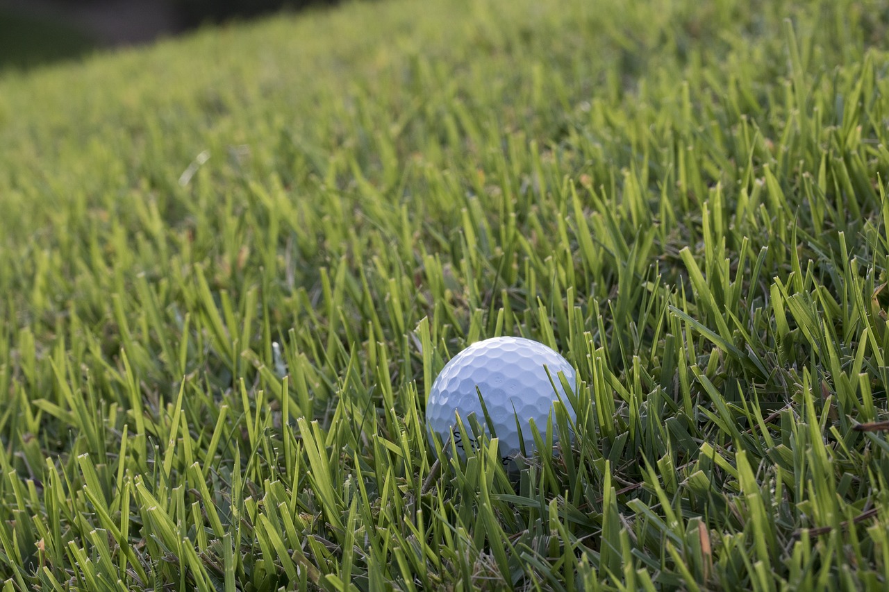 golf  green  field free photo