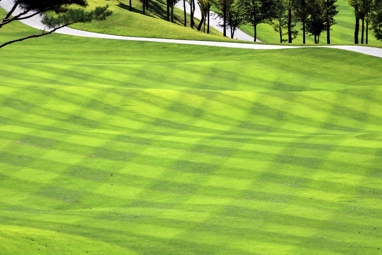 golf  green  field free photo