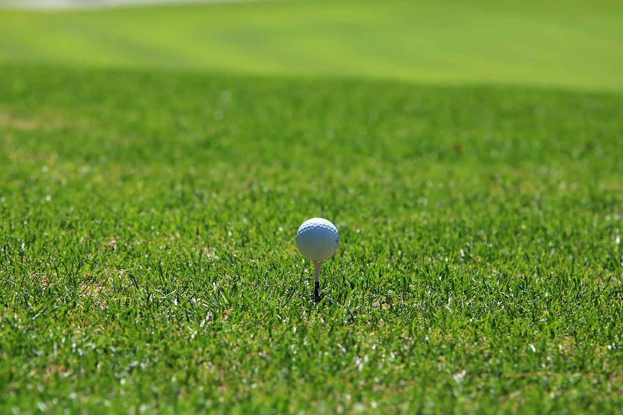 golf  golf course  grass free photo