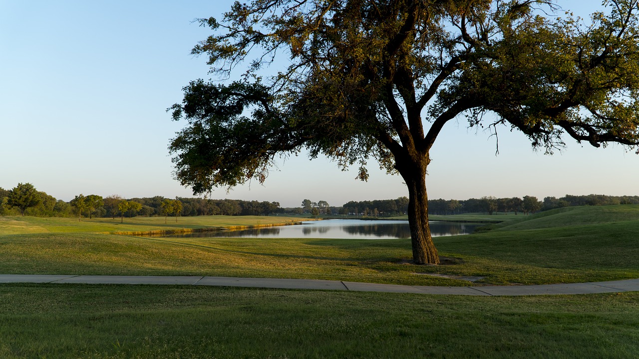 golf  golf course  golfing free photo