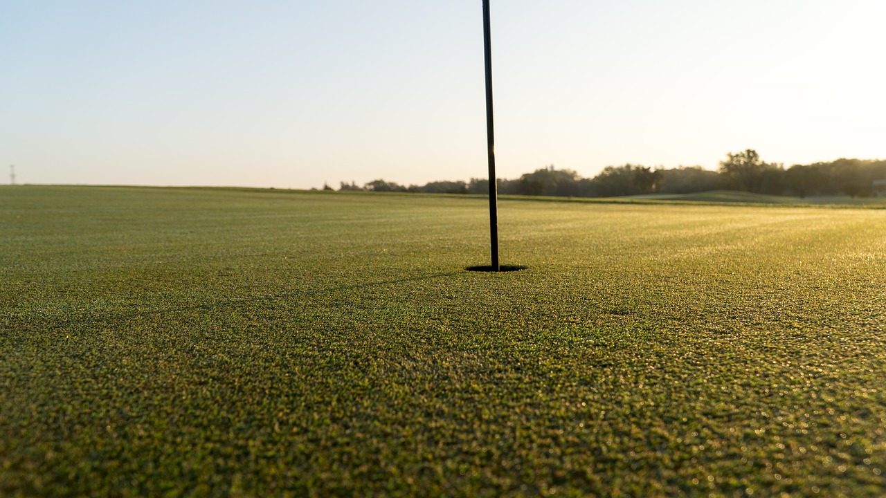 golf  golf course  golfing free photo