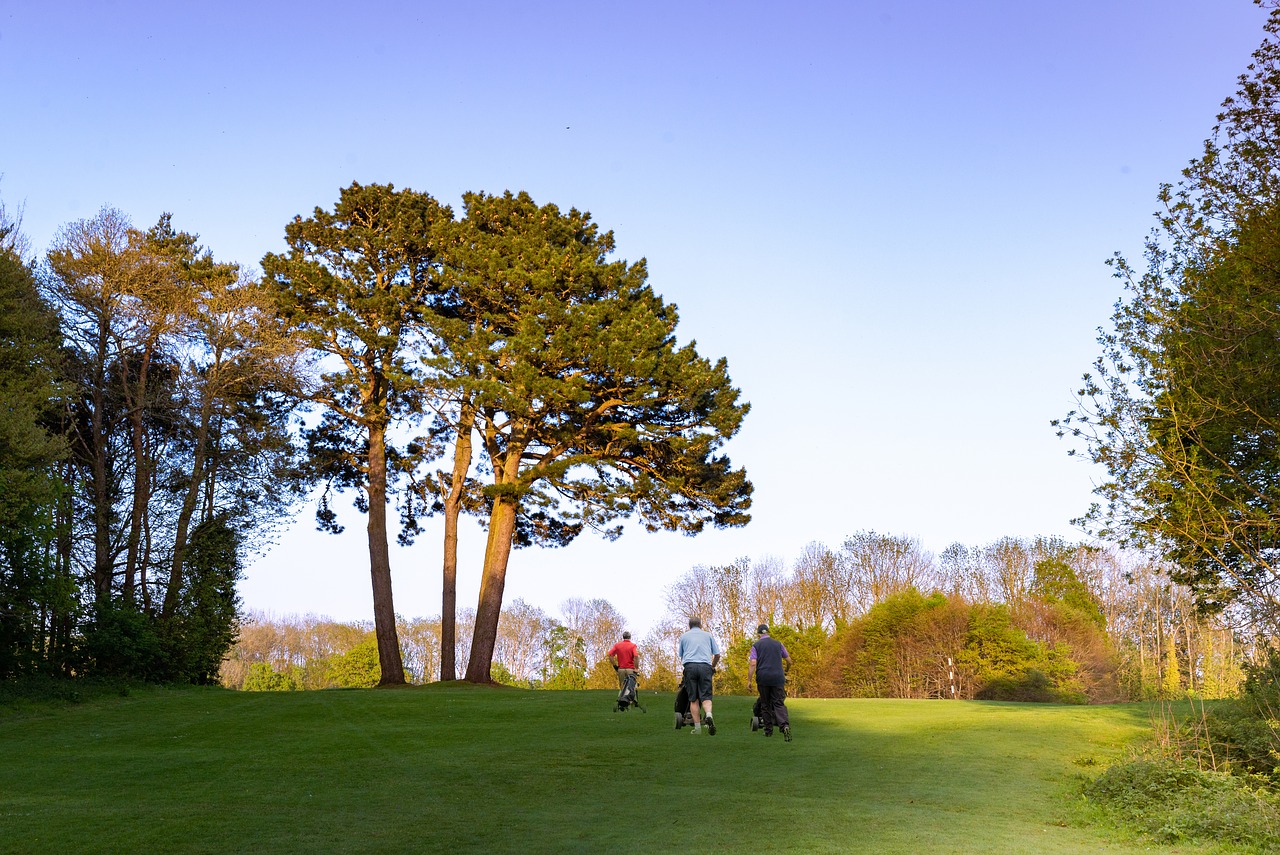 golf  evening  view free photo