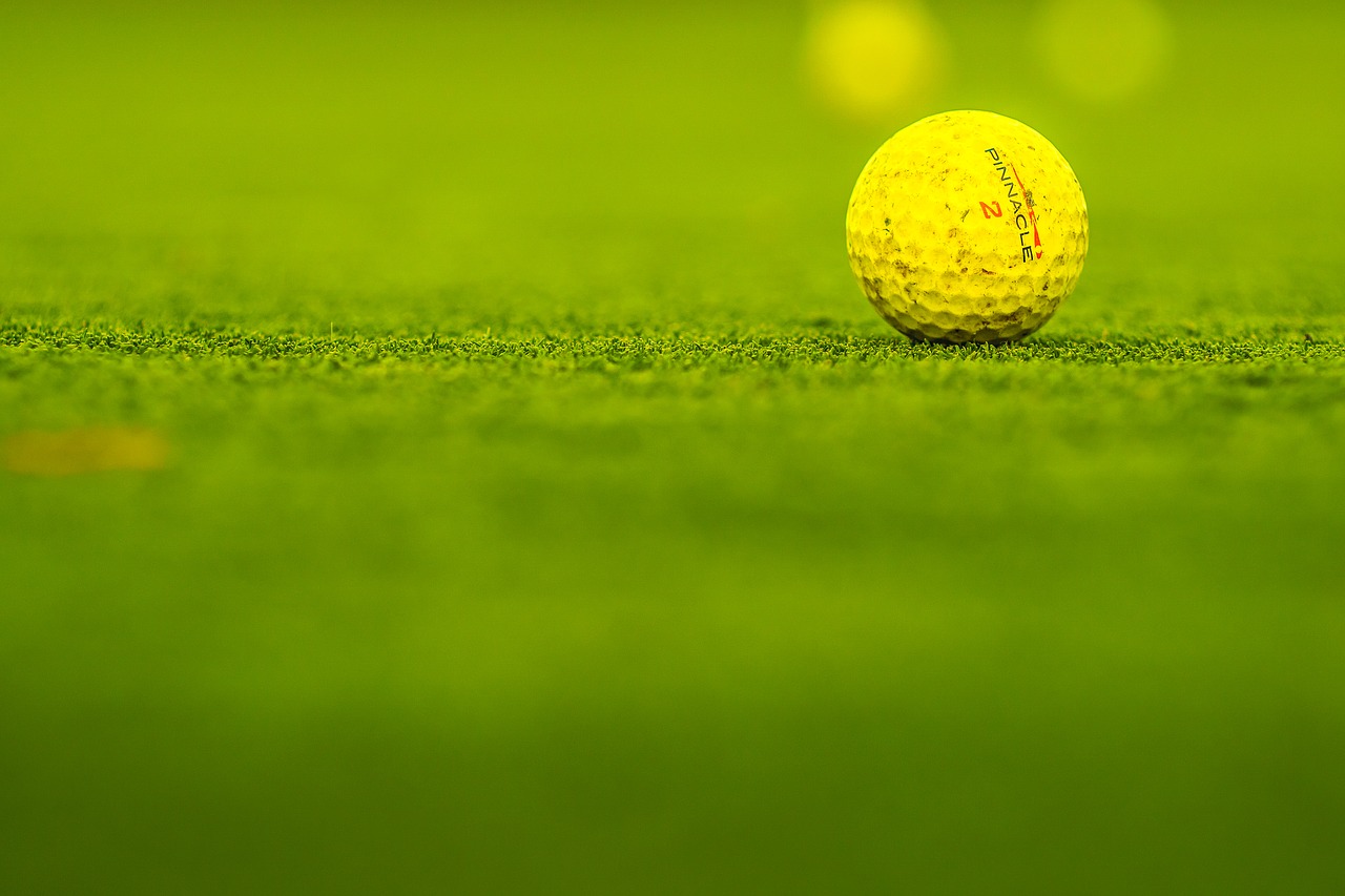 golf  course  ball free photo