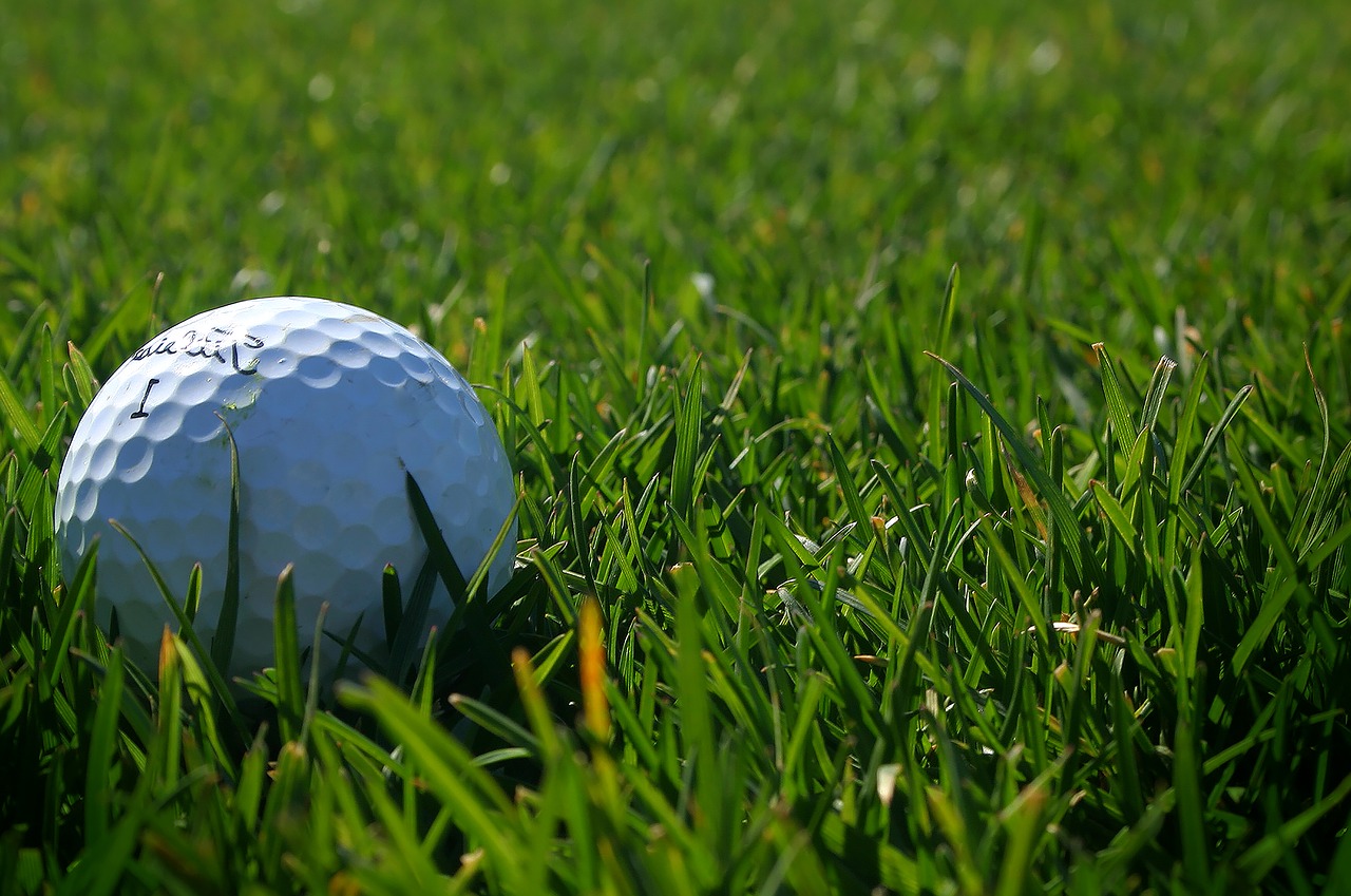 golf  green  ball free photo