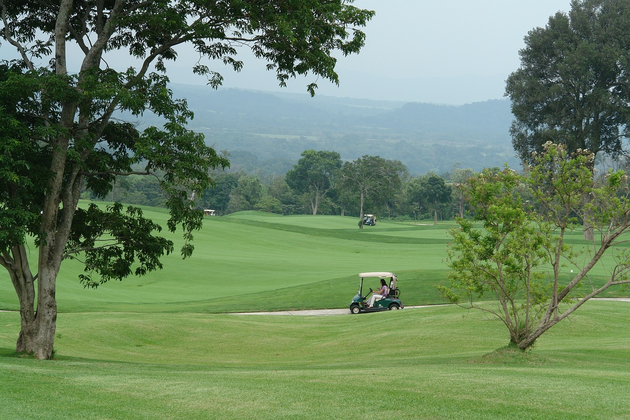 golf golf buggies sport free photo