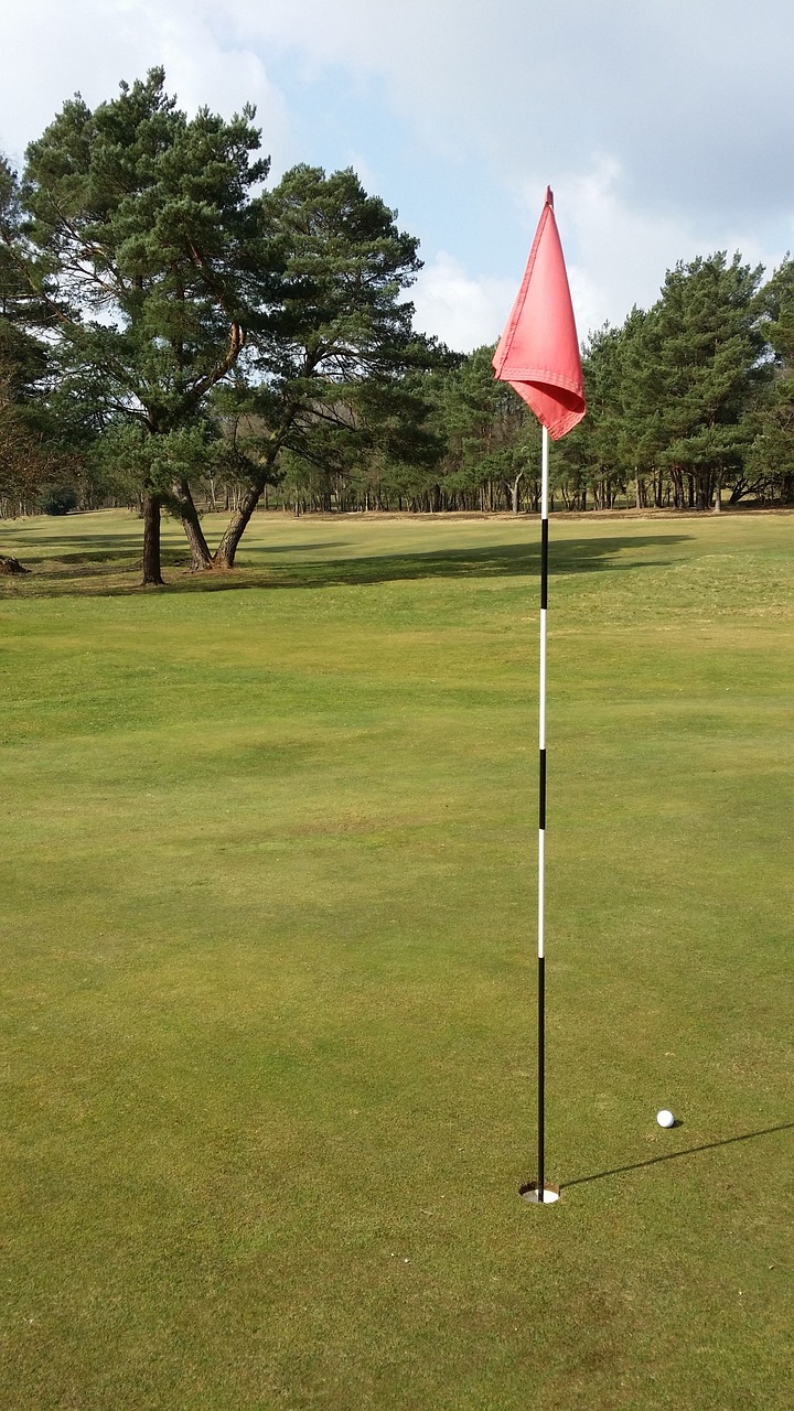 golf flag ball free photo