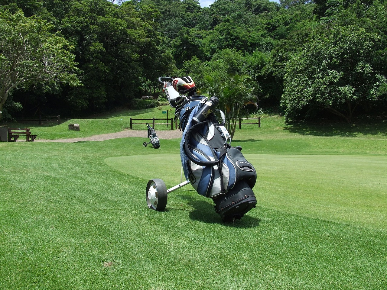 golf golf bag course free photo