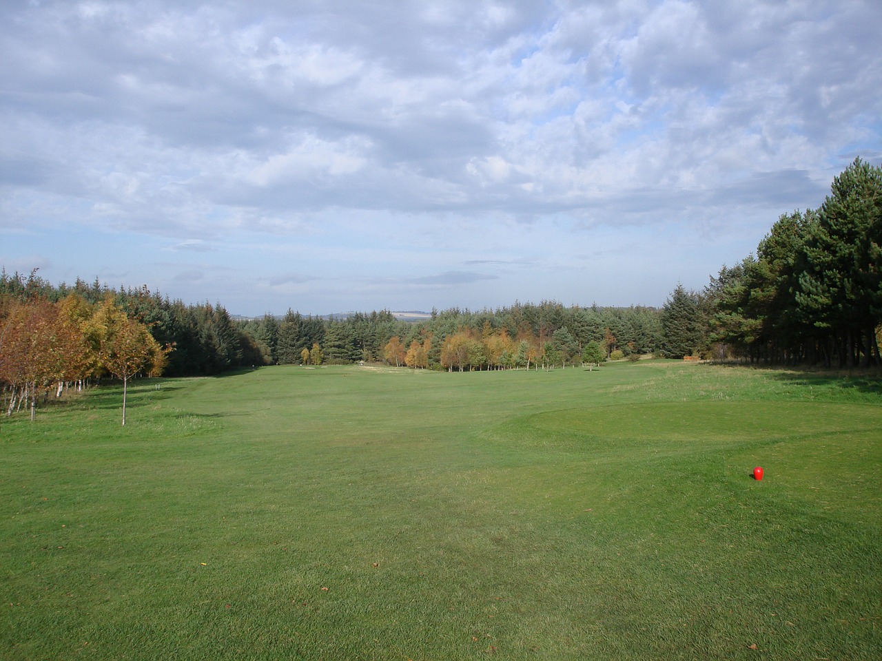 golf golfcourse course free photo