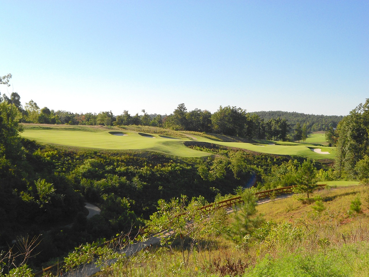 golf course grass free photo