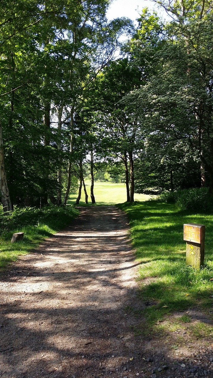 golf golf course green free photo