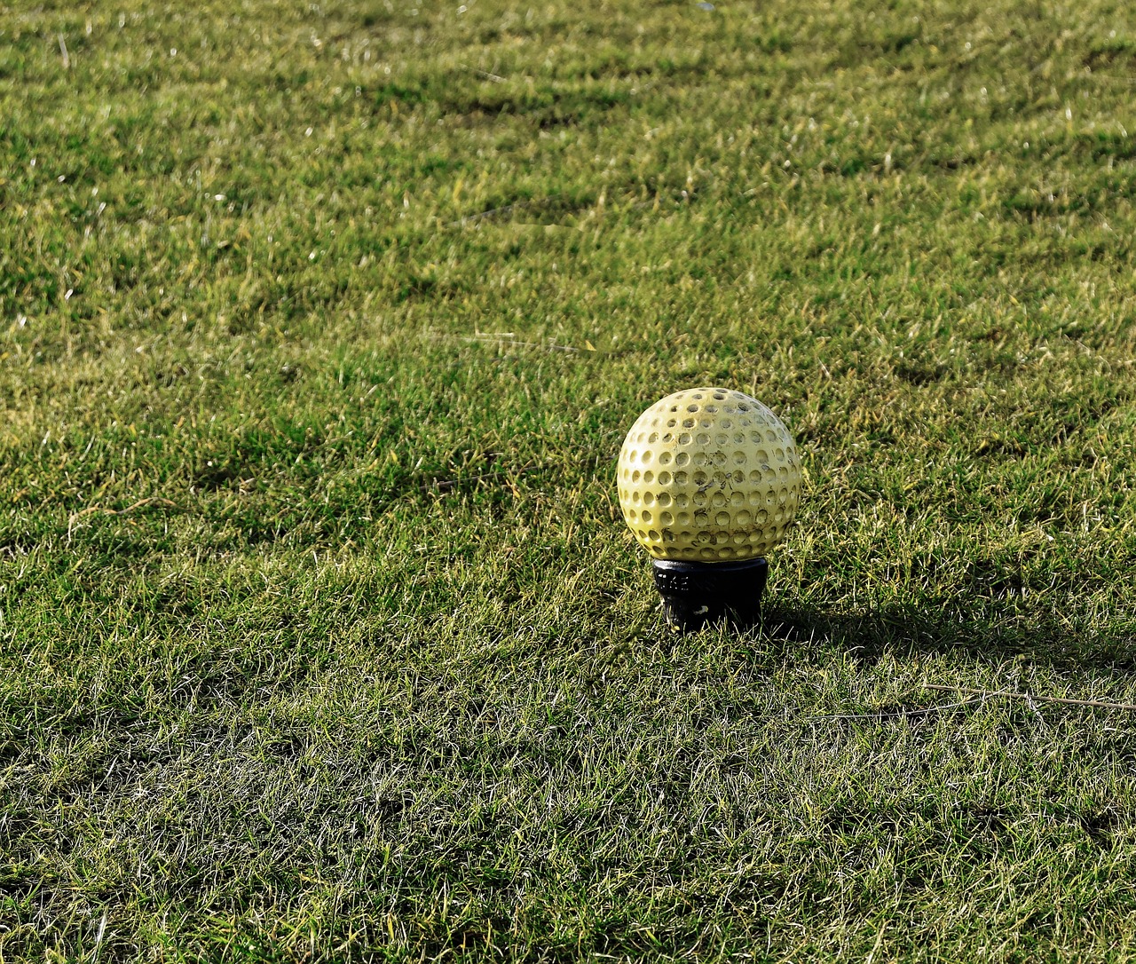 golf tee marker yellow free photo