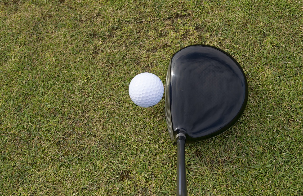 golf ball golf ball free photo