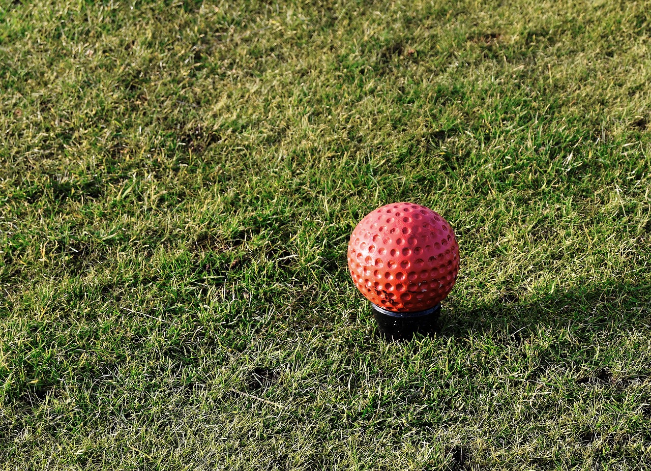 golf tee marker red free photo