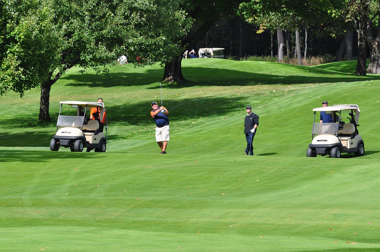 golf golf carts golfer free photo