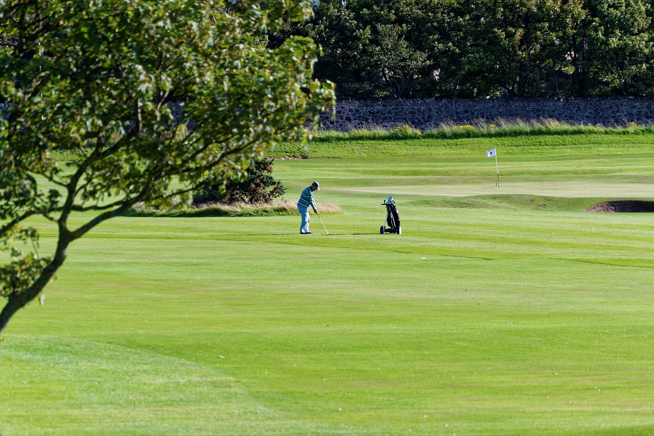 golf golf course golfer free photo