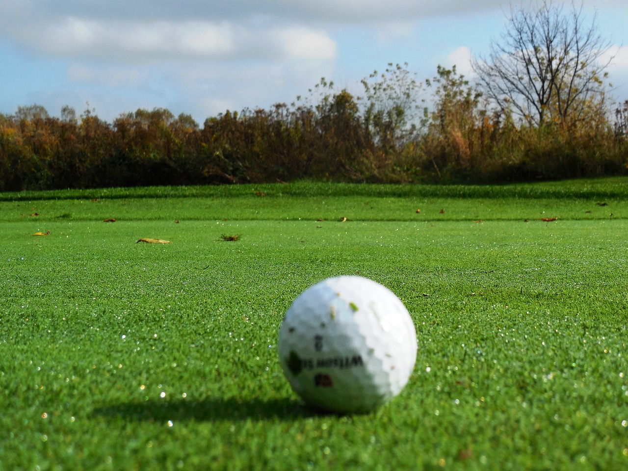 golf green golf turf free photo