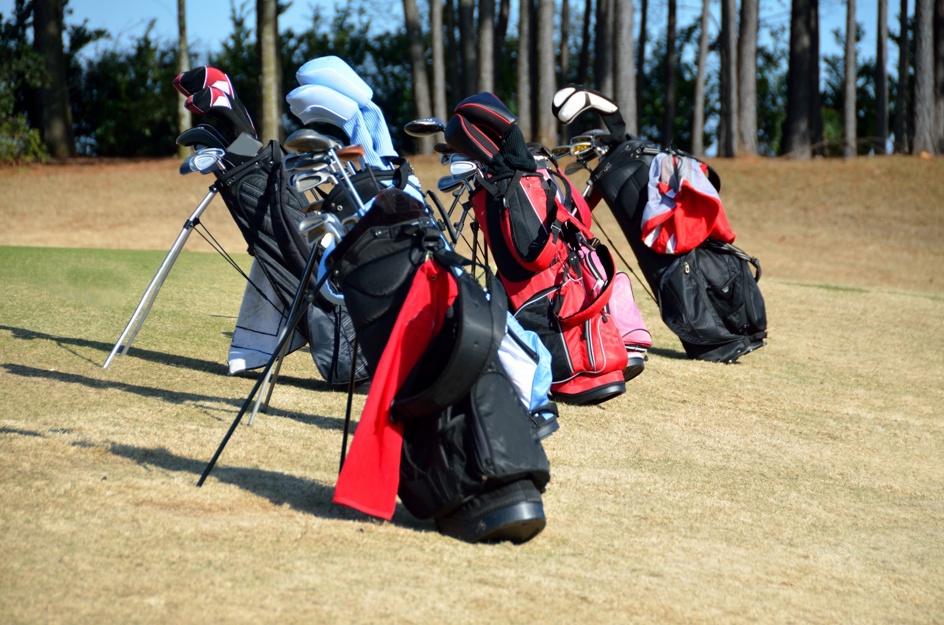 golf golf bags clubs free photo